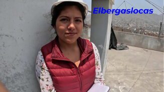 Contrato de comodato codigo civil guanajuato