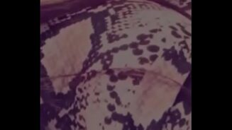 Letras de sebastián yatra my only one (no hay nadie más)